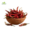 Red Chilly